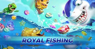 23 bet app